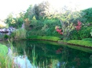 _IMAGE_4